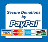 paypal donate button